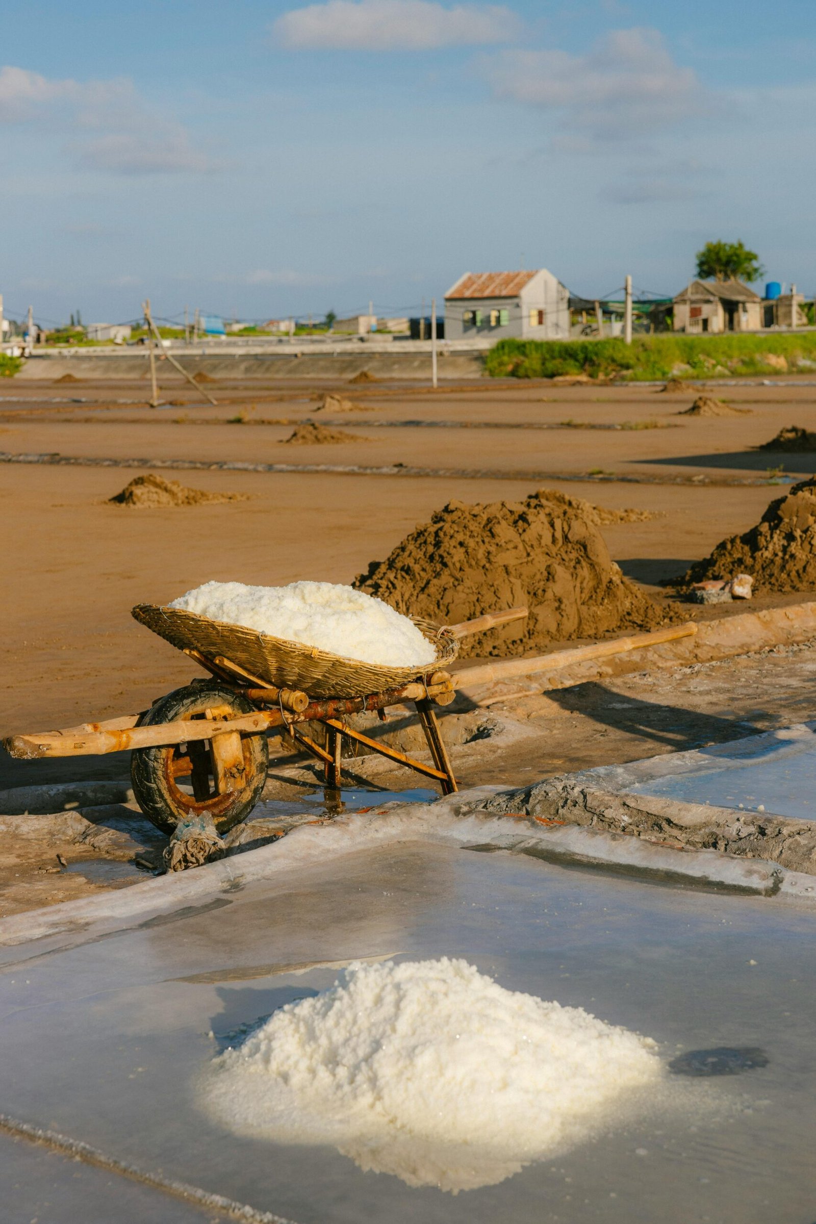 Salt fields with piles and a wheelbarrow under sunny skies, capturing traditional salt harvest.